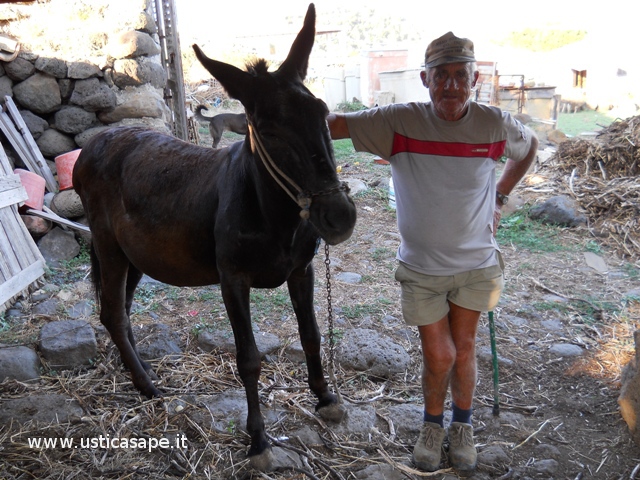 Gerardo e Catiello
